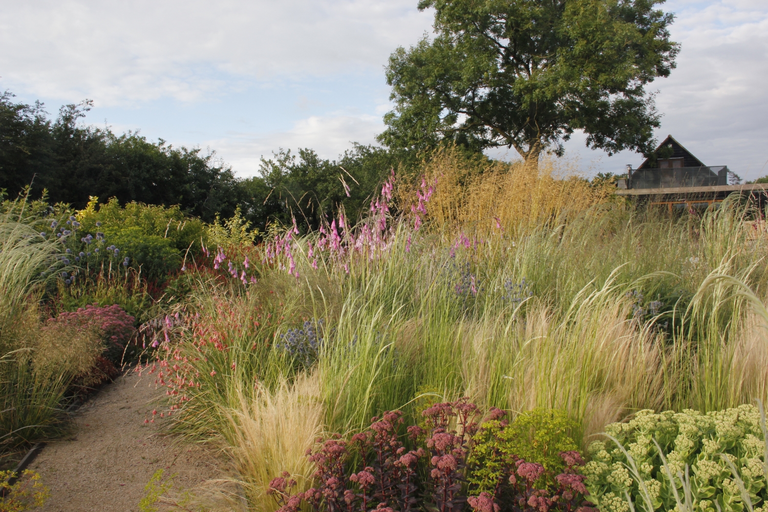  Long House Plants Romford Essex RM4 1LD National Garden Scheme